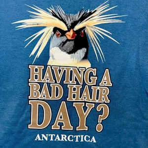 TIT   mouse bird Graphic Antarctica Short Sleeve TShirt  2XL Fruit of The Loom